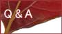 Q & A
