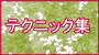 �t���C�g�z�r�[���e�N�j�b�N�W